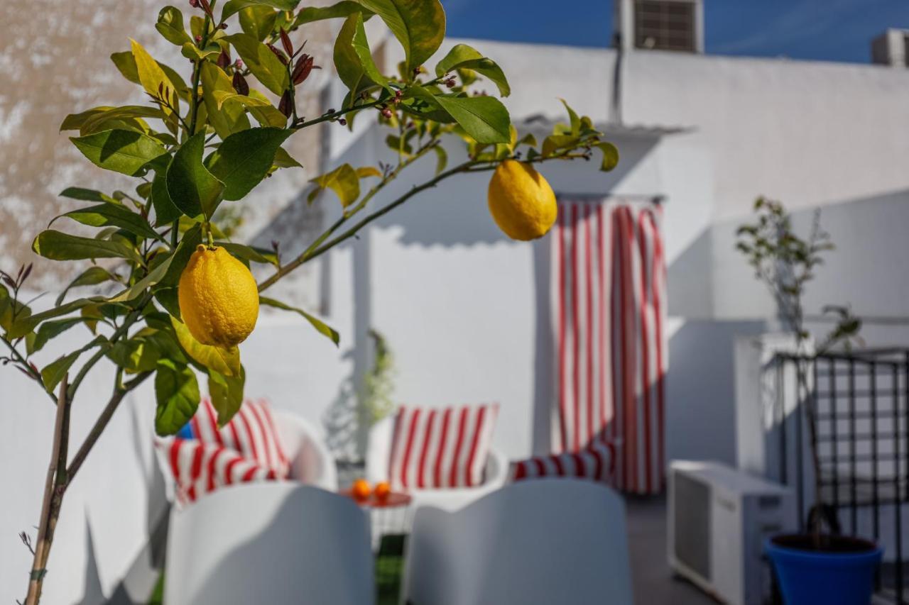 Apartamento San Diego Catedral Σεβίλλη Εξωτερικό φωτογραφία